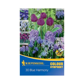 Symphony of Colours 'Blue Harmony' - Farbmischung